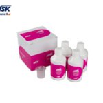 FLASH pearl™ NSK - Poudre prophylactique au calcium pour aéropolissage professionnel